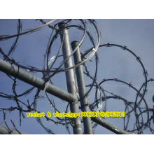 Горячая распродажа Concetina Razor Barbed Wire Cbt 65